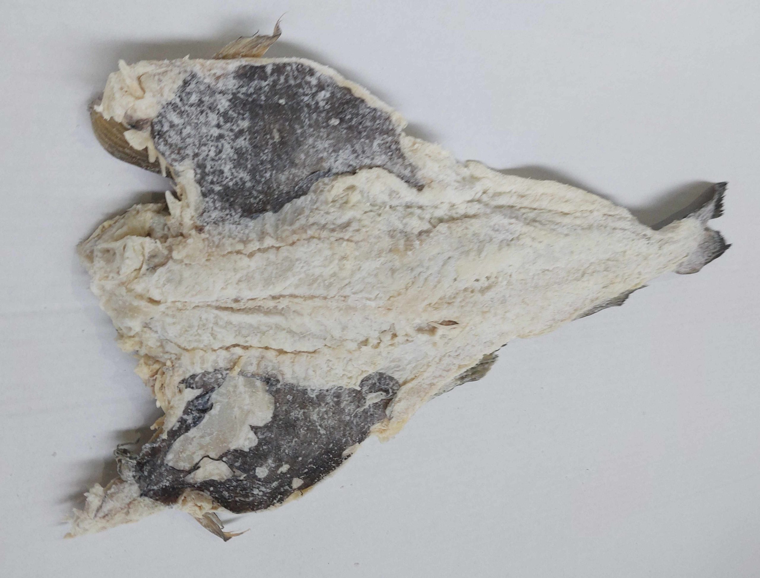 Dried salted codfish small 500g to 1kg Northern Fish Codfish